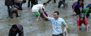 男人夢見抓了一條大魚什么意思 男人夢見抓了一條大魚預示什么