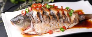 夢(mèng)見(jiàn)鱸魚(yú)什么意思 夢(mèng)見(jiàn)鱸魚(yú)預(yù)示什么