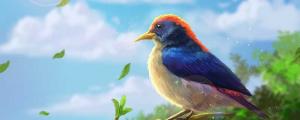 夢見鵬鳥什么意思 夢見鵬鳥什么征兆