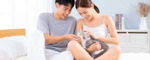 夢見貓爬到身上甩不掉什么意思 夢見貓爬到身上甩不掉預(yù)示什么