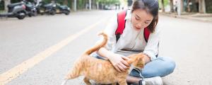 夢見貓追我還想咬我有什么預(yù)兆 夢見貓追我還想咬我好不好