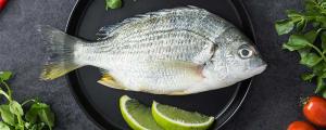 夢見魚死什么意思 夢見魚死預示什么