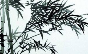 手机号尾号66是吉祥号码 最新吉利添财的手机尾号