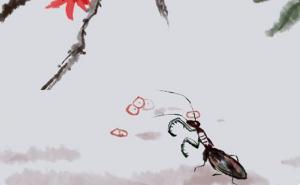 手机尾号1313象征财运 最新吉利招财的手机尾数