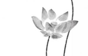 车牌号59是什么意思 节节攀升的车牌号码