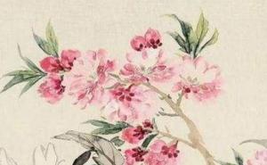 手机尾号7773的含义 数理开运添财的尾号数组