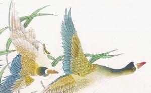 号码数字能量对照表 磁场能量大吉旺运的手机号码