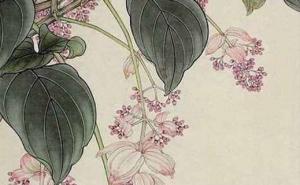 适合女人用的手机尾号 有价值旺桃花的手机数组