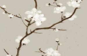 车牌号有尾号是K怎么样 后四位吉祥车牌大全