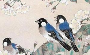 手机号测命运 免费吉利的手机号组全书