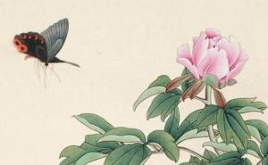 怎么挑选大吉的手机号码 五行吉利磁场吉祥的数字组合