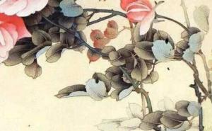 属虎手机用什么号码好 美满旺运的手机靓号数组