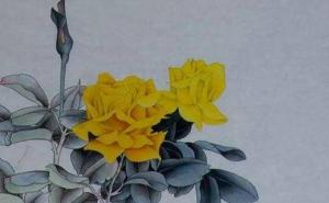 生肖吉祥手机号 鸿运当头的生肖旺财号码