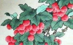 属蛇选什么手机号码最好 大气招财的手机靓号数组