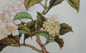 1982年属狗的手机号选哪个好 招财纳运的靓号宝典