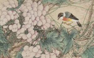 1983属猪手机吉利尾数 一生旺属猪人的手机尾数