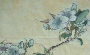 数字能量磁场表 盘点最新旺财的手机号码
