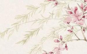 数字能量测手机号码 吉祥旺财的手机号码推荐