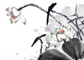 选车号怎样能选到好号 7开头车牌号好吗