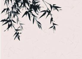 车牌号7和9在一起好吗 寓意财运事业皆有上升之趋势