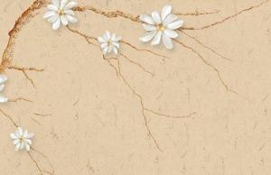 车牌号几个字母好 最好不要超过两个