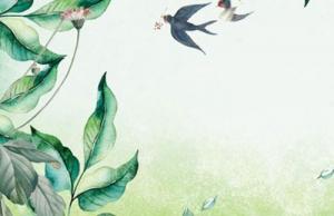 车牌号哪些数字字母组合最吉利 车牌尾数的选择技巧