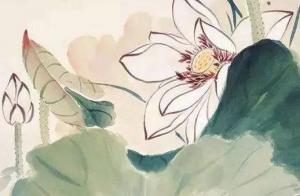 手机的吉祥数字是多少 超强能量吉祥的手机数组