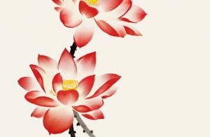 属水号码是什么 正财旺桃花的属水尾号