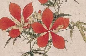 手机吉祥数字组合大全 好运热门的手机号组推荐