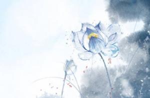 手机号码配对爱情 五行旺桃花的手机靓号