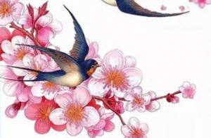 免费输入生辰八字选手机号码 盘点好记高级的手机号