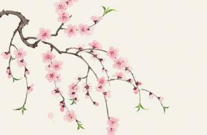 奇门遁甲尾数13 哪个手机尾号桃花旺