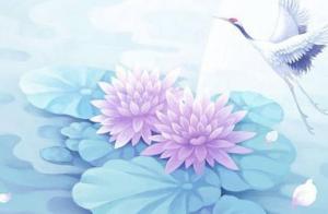 如何测手机号码测吉凶 女人用手机号码尾数什么号比较好