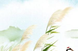 奇门手机号最旺财的尾数 五行如何选手机尾号