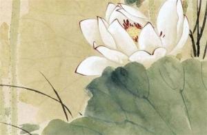 旺财旺婚姻的手机号 幸运的手机号码