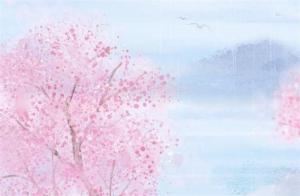 手機(jī)數(shù)字組合吉兇 好運(yùn)能量手機(jī)號(hào)碼