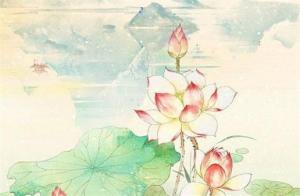 屬兔人手機(jī)號(hào)碼尾數(shù)吉祥數(shù) 吉利尾號(hào)推薦