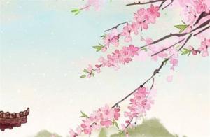 手機號財運多的號碼  財旺運旺的手機尾數(shù)