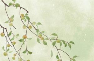 帶財(cái)運(yùn)的手機(jī)號碼數(shù)字是什么 什么數(shù)字能發(fā)財(cái)