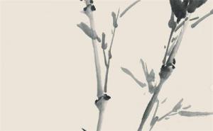 手機(jī)號碼磁場怎么組合最好 數(shù)字能量最佳組合