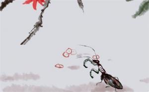 7788的手機(jī)號的寓意好嗎 五行八字選號碼