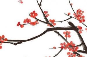 代表財(cái)富的手機(jī)號 號碼帶2寓意好事成雙