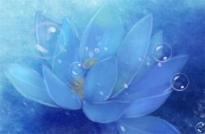 什么電話號碼最好旺財(cái)手機(jī)號移動(dòng) 財(cái)運(yùn)亨通的手機(jī)尾數(shù)