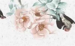 手機(jī)號(hào)計(jì)算吉利方法 手機(jī)號(hào)帶了三個(gè)7真的不好嗎