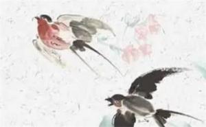手機(jī)號(hào)后面是5好嗎 手機(jī)號(hào)碼5多代表什么