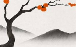 怎樣選手機(jī)號(hào)碼才適合自己 手機(jī)號(hào)碼0好不好