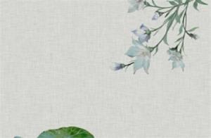 手機(jī)號(hào)碼數(shù)字0代表什么意思  不同的數(shù)字磁場(chǎng)不同