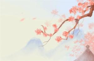 手機(jī)號碼數(shù)字8586什么意思  大吉大利促進(jìn)發(fā)展