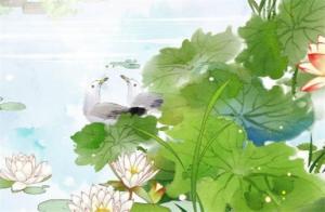 旺財(cái)手機(jī)號(hào)碼怎么選 手機(jī)尾數(shù)4四方來(lái)財(cái)