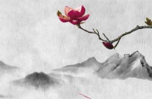 易經(jīng)中最吉利的手機(jī)號 吸納好運(yùn)的手機(jī)數(shù)字